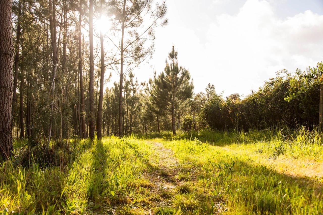 Cercal do Alentejo Quinta Camarena旅馆 外观 照片