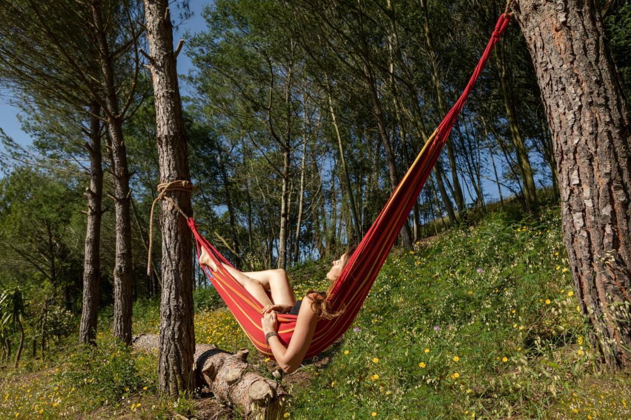 Cercal do Alentejo Quinta Camarena旅馆 外观 照片