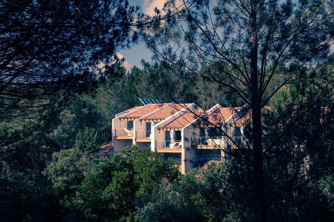 Cercal do Alentejo Quinta Camarena旅馆 外观 照片