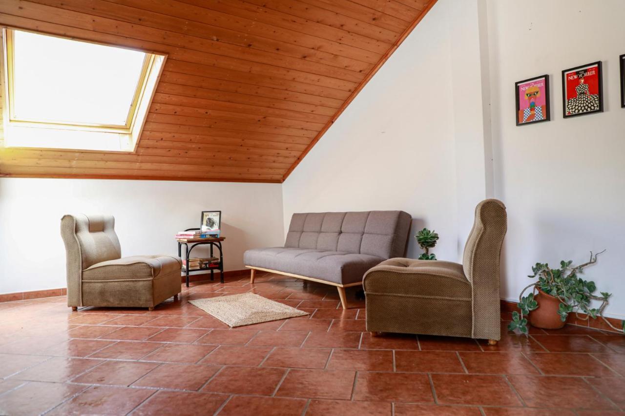 Cercal do Alentejo Quinta Camarena旅馆 外观 照片